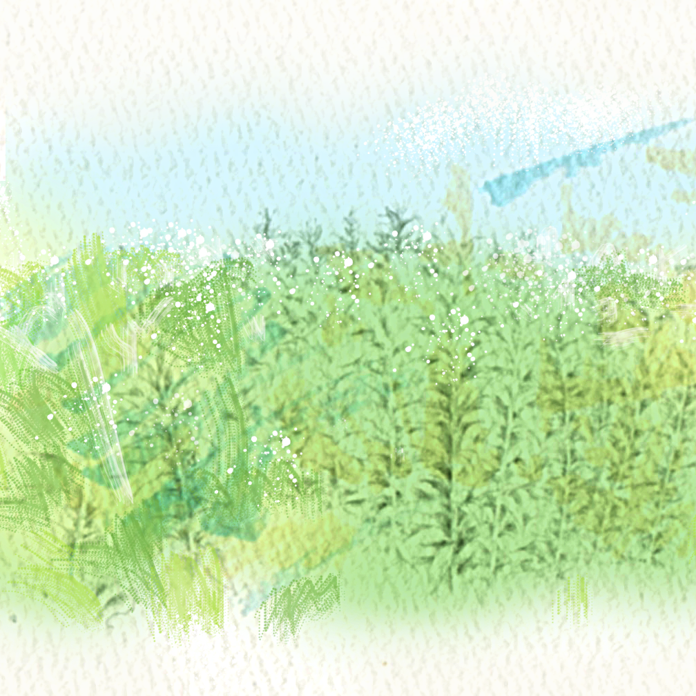 マーカーとシャーペンを使って描いた抽象イラストで、生い茂る背の高い草と雨上がりの露をイメージしたものです。